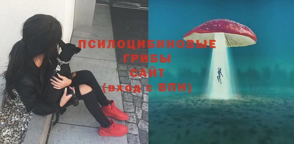 прущая мука Богородск