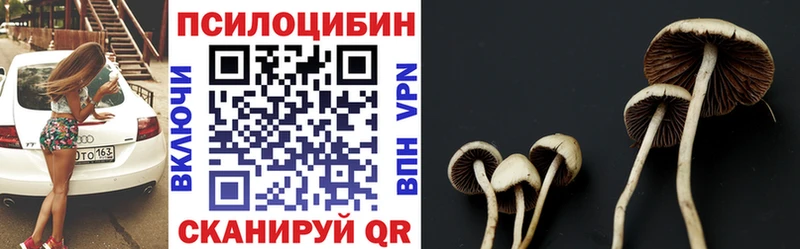Купить где  Давлеканово  Галлюциногенные грибы GOLDEN TEACHER 
